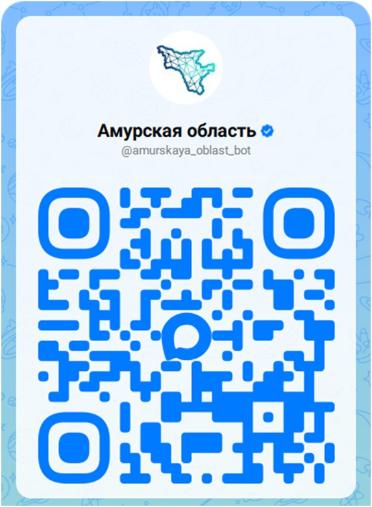 Единый региональный сервис «Амурская область» доступен в мессенджере «МАКС»